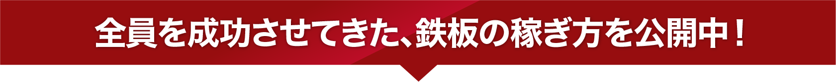 全員を成功させてきた、鉄板の稼ぎ方を公開中！