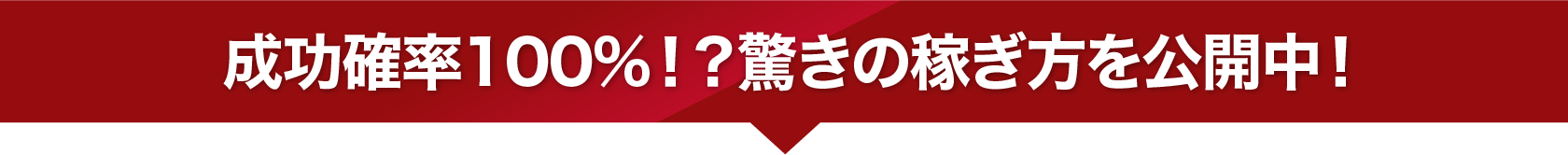 成功確率100%！？驚きの稼ぎ方を公開中！